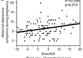 figure2.PNG