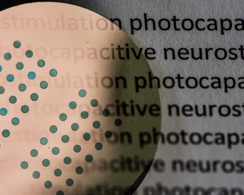 Photocapacitive-neurostimulation-LiU-TB_DSC2841.jpg